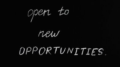 bookkeeping for growth opportunities