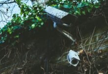 telecom contact numbers listed