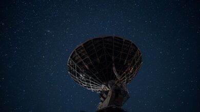 telecom council contact numbers