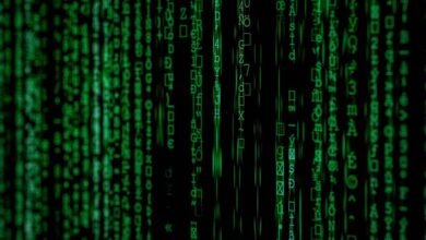 emergent pathways identified numerically