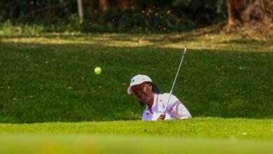 market competition evaluation report