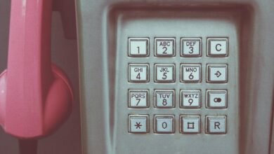 momentum nexus contact numbers